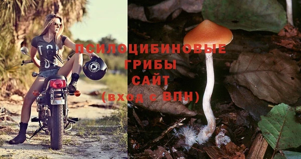 гашик Лиски