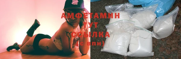 индика Горно-Алтайск