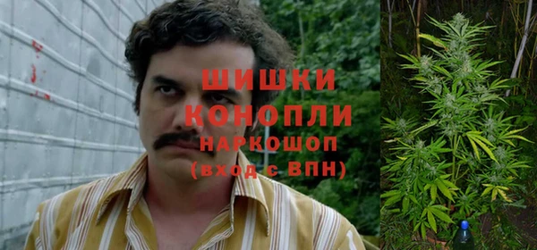 гашик Лиски